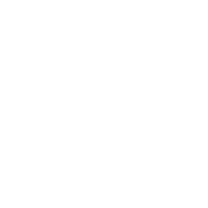 Angel Insurance Solutions Logo White
